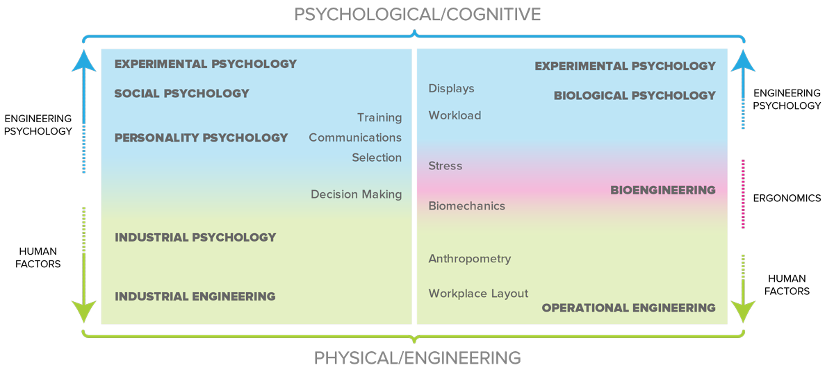 Web development is more within the realm of Engineering Psychology than Human Factors, as is illustrated in this graphic. 