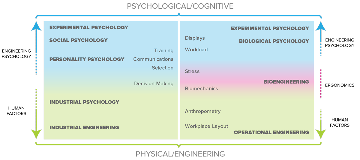 Web development is more within the realm of Engineering Psychology than Human Factors, as is illustrated in this graphic.